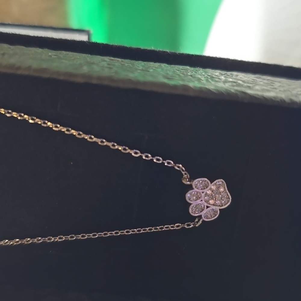 NWOT Must Have Paw Print Silvertone Charm Necklace